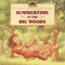 Summertime in the Big Woods by Laura Ingalls Wilder, Renee Graef, 9780064434973