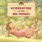 Summertime in the Big Woods by Laura Ingalls Wilder, Renee Graef, 9780064434973