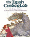 The Irish Cinderlad by Shirley Climo, Loretta Krupinski, 9780064435772
