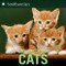 Cats by Seymour Simon, 9780064462549