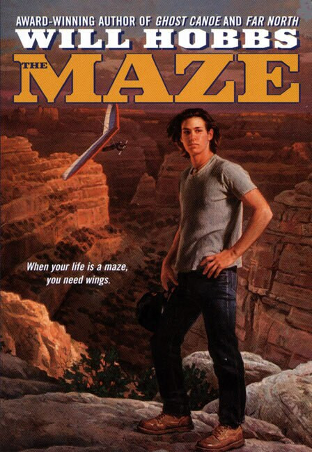 The Maze by Will Hobbs, 9780380729135