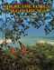 Where the Forest Meets the Sea by Jeannie Baker, Jeannie Baker, 9780688063634