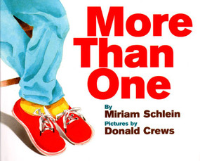 More Than One by Miriam Schlein, Donald Crews, 9780688141028
