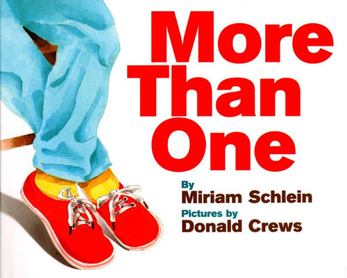 More Than One by Miriam Schlein, Donald Crews, 9780688141028
