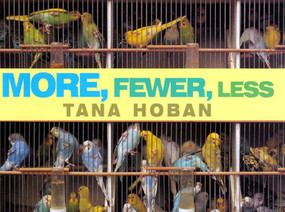 More, Fewer, Less by Tana Hoban, 9780688156930