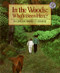 In the Woods: Who's Been Here? by Lindsay Barrett George, Lindsay Barrett George, 9780688161637