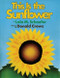 This Is the Sunflower by Lola M. Schaefer, Donald Crews, 9780688164133
