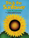 This Is the Sunflower by Lola M. Schaefer, Donald Crews, 9780688164133