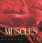 Muscles (Our Muscular System) by Seymour Simon, 9780688177201