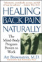 Healing Back Pain Naturally (The Mind-Body Program Proven to Work) by Art Brownstein, 9780743424646
