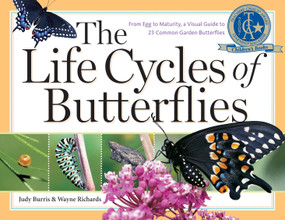 The Life Cycles of Butterflies (From Egg to Maturity, a Visual Guide to 23 Common Garden Butterflies) by Judy Burris, Wayne Richards, 9781580176170