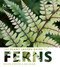 The Plant Lover's Guide to Ferns by Richie Steffen, Sue Olsen, 9781604694741