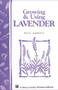 Growing & Using Lavender (Storey's Country Wisdom Bulletin A-155) by Patricia R. Barrett, 9780882664750