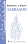 Growing & Using Tarragon (Storey's Country Wisdom Bulletin A-195) by Glenn Andrews, 9781580172363