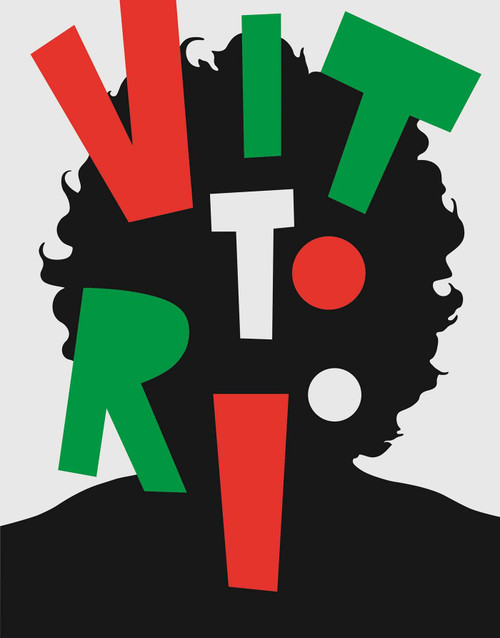 Through the Eyes of Vittorio by Marc H. Choko, 9781988002163