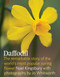 Daffodil (The remarkable story of the world's most popular spring flower) by Noel Kingsbury, Jo Whitworth, 9781604693188