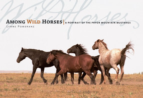 Among Wild Horses (A Portrait of the Pryor Mountain Mustangs) by Lynne Pomeranz, Hope Ryden, 9781580176330