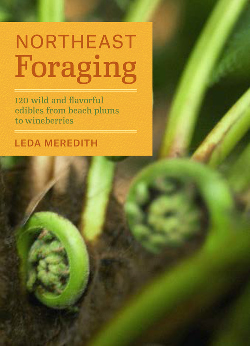 Northeast Foraging (120 Wild and Flavorful Edibles from Beach Plums to Wineberries) by Leda Meredith, 9781604694178