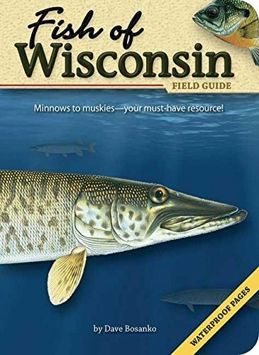 Fish of Wisconsin Field Guide (Miniature Edition) by Dave Bosanko, 9781591931942