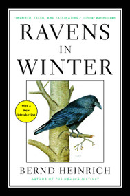 Ravens in Winter by Bernd Heinrich, 9781476794563