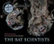 The Bat Scientists by Mary Kay Carson, Tom Uhlman, 9780544104938