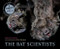 The Bat Scientists by Mary Kay Carson, Tom Uhlman, 9780544104938
