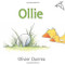 Ollie by Olivier Dunrea, 9780618755035