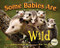 Some Babies Are Wild by Marion Dane Bauer, Stan Tekiela, 9781591930846