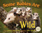 Some Babies Are Wild by Marion Dane Bauer, Stan Tekiela, 9781591930846
