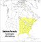 A Peterson Field Guide To Eastern Forests (North America) by John Kricher, Roger Tory Peterson, Gordon Morrison, John Kricher, 9780395928950