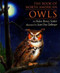 The Book of North American Owls by Jean Day Zallinger, Helen Roney Sattler, 9780395900178
