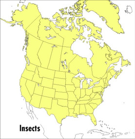 A Peterson Field Guide To Insects (America North of Mexico) by Donald J. Borror, Roger Tory Peterson, 9780395911709