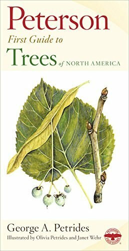 Peterson First Guide to Trees by George A. Petrides, Roger Tory Peterson, Janet Wehr, Olivia Petrides, 9780395911839