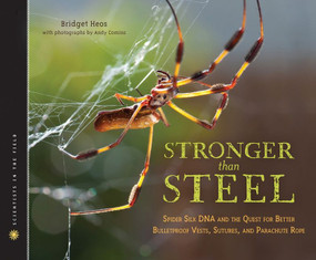 Stronger Than Steel (Spider Silk DNA and the Quest for Better Bulletproof Vests, Sutures, and Parachute Rope) by Bridget Heos, Andy Comins, 9780547681269