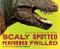 Scaly Spotted Feathered Frilled (How do we know what dinosaurs really looked like?) by Catherine Thimmesh, 9780547991344