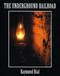The Underground Railroad by Raymond Bial, 9780395979150