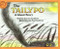 The Tailypo (A Ghost Story) by Joanna C. Galdone, Paul Galdone, 9780395300848