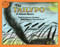 The Tailypo (A Ghost Story) by Paul Galdone, Joanna C. Galdone, Paul Galdone, 9780395300848