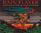 Rain Player by David Wisniewski, 9780395720837