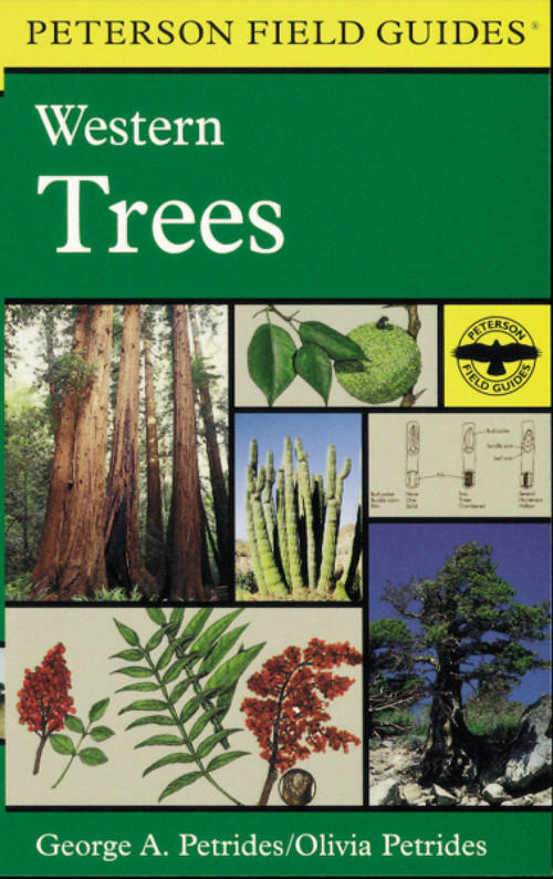 A Peterson Field Guide To Western Trees (Western United States and Canada) by Roger Tory Peterson, Olivia Petrides, 9780395904541