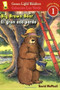 El gran oso pardo/Big Brown Bear by David McPhail, John O'Connor, F. Isabel Campoy, Alma Flor Ada, 9780152059705