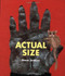 Actual Size by Steve Jenkins, 9780618375943