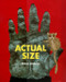 Actual Size by Steve Jenkins, Steve Jenkins, 9780618375943