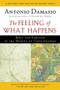 The Feeling of What Happens (Body and Emotion in the Making of Consciousness) by Antonio Damasio, 9780156010757