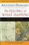 The Feeling Of What Happens (Body and Emotion in the Making of Consciousness) by Antonio Damasio, 9780156010757