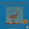 mammalabilia by Douglas Florian, 9780152050245