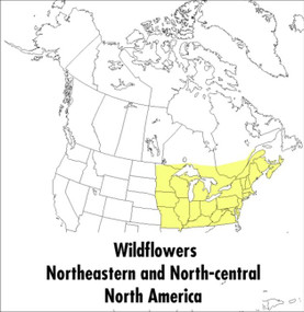 A Peterson Field Guide To Wildflowers (Northeastern and North-central North America) by Margaret McKenny, Roger Tory Peterson, 9780395911723