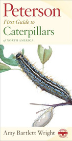 Peterson First Guide To Caterpillars Of North America by Amy Bartlett Wright, Roger Tory Peterson, 9780395911846