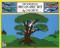 The Seasons of Arnold's Apple Tree by Gail Gibbons, 9780152712457