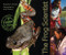 The Frog Scientist by Andy Comins, Pamela S. Turner, 9780547576985
